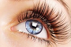 睫毛項(xiàng)目示例圖